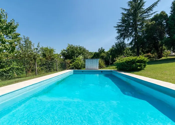 Capa Da Encosta * アマランテ