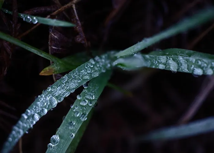 Capa Da Encosta בית נופש *